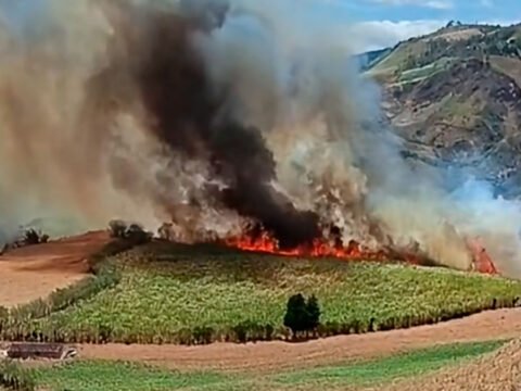 Incendio forestal en Ancuya