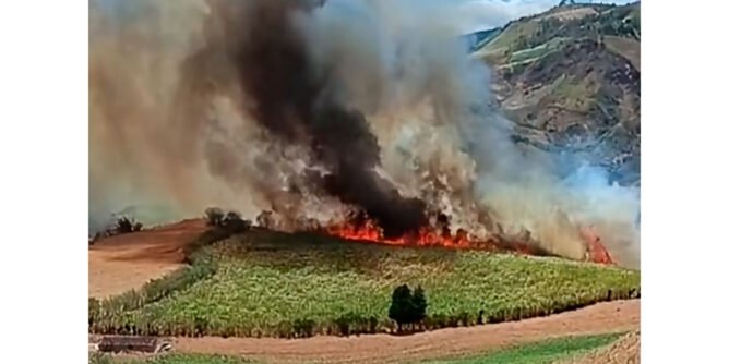 Incendio forestal en Ancuya