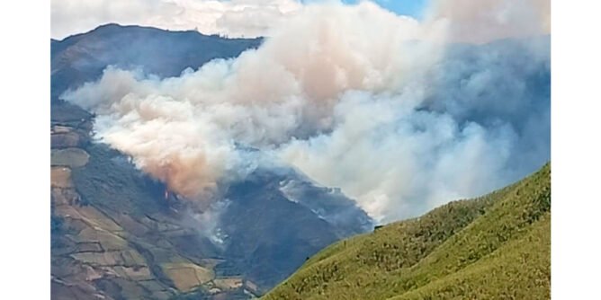 Incendio forestal en Ancuya