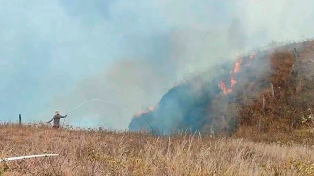 Incendio forestak en Chachagüí