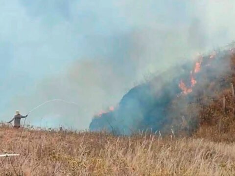 Incendio forestak en Chachagüí