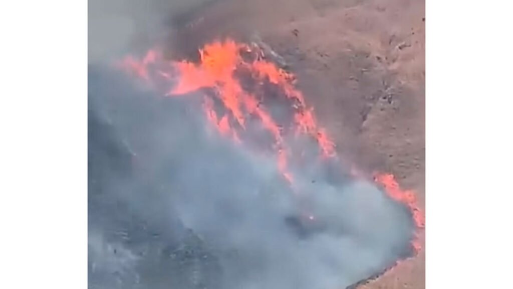 Incendio forestal en La Unión