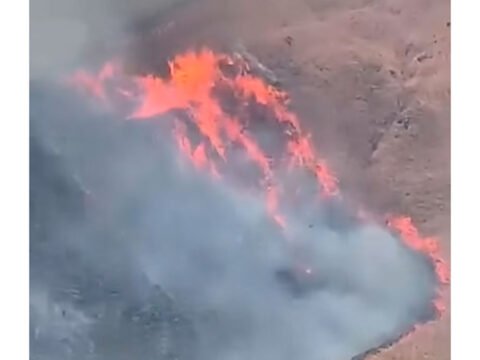 Incendio forestal en La Unión