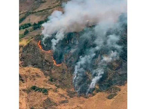 Incendio forestal en la vereda Yunguita, en Guaitarilla