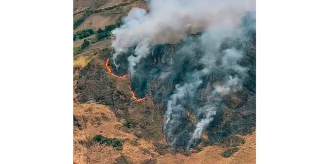 Incendio forestal en la vereda Yunguita, en Guaitarilla