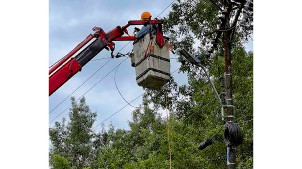 Poste de energía junto a un árbol