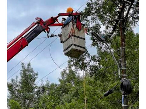 Vientos e incendios afectan el servicio de energía en varios municipios de Nariño Poste de energía junto a un árbol