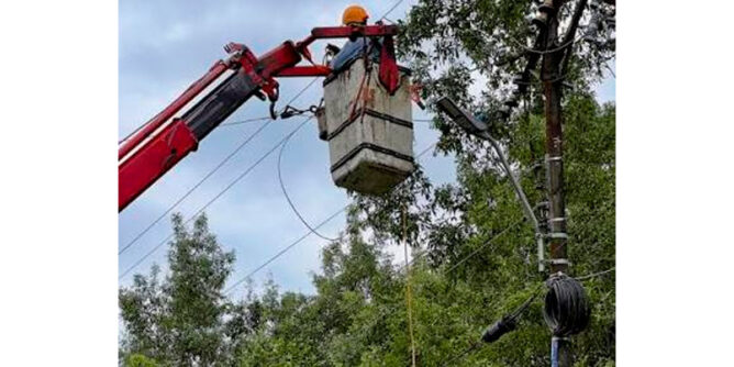 Poste de energía junto a un árbol