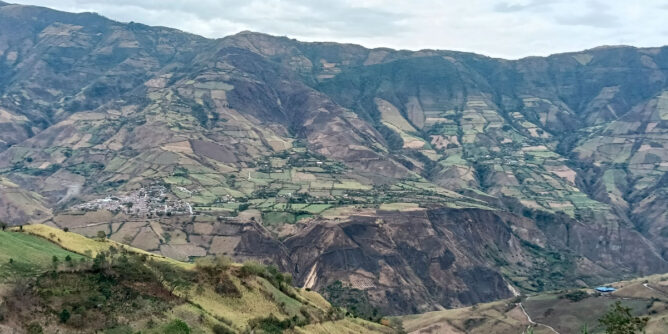 Ancuya