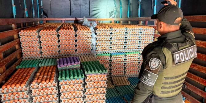 Decomisan huevos en la frontera con Ecuador