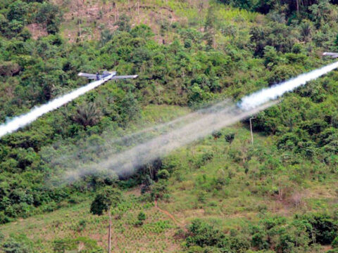 Fumigación aérea a cultivos de uso ilícito