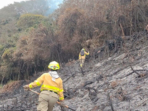 Incendio forestal en el sector rural Pasto