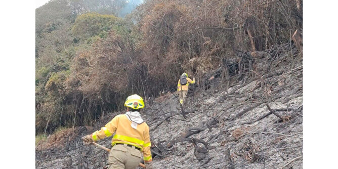 Incendio forestal en el sector rural Pasto