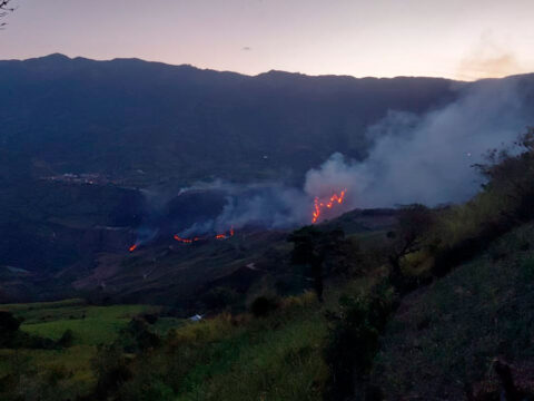 Incendio forestal parte baja de Ancuya