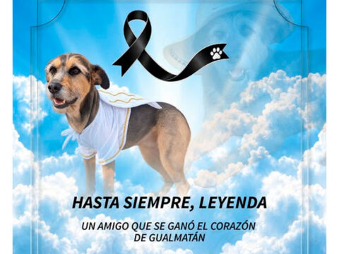 Leyenda, perro amigo de Gualmatán