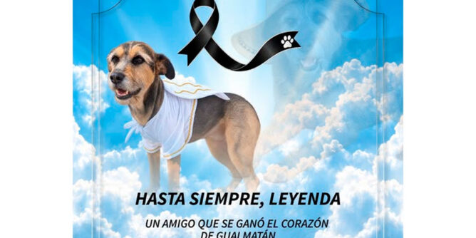 Leyenda, perro amigo de Gualmatán