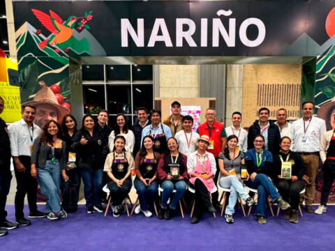 Nariñenses regresan a Cafés de Colombia Expo con $41 millones en ventas y contactos internacionales Nariñenses en Cafés de Colombia Expo