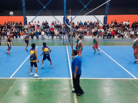 Partido de voleibol