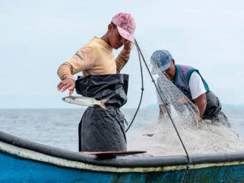 Pesca artesanal en el Pacífico Nariñense