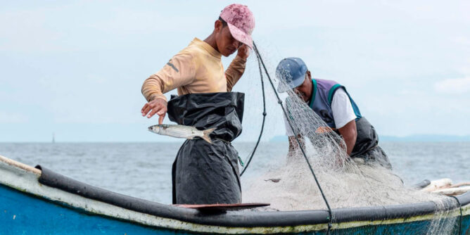Pesca artesanal en el Pacífico Nariñense