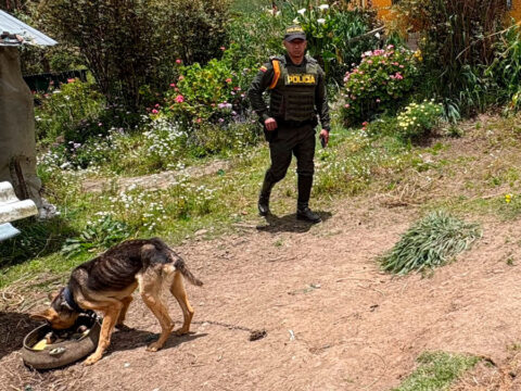 Presunto maltrato animal en Córdoba, Nariño