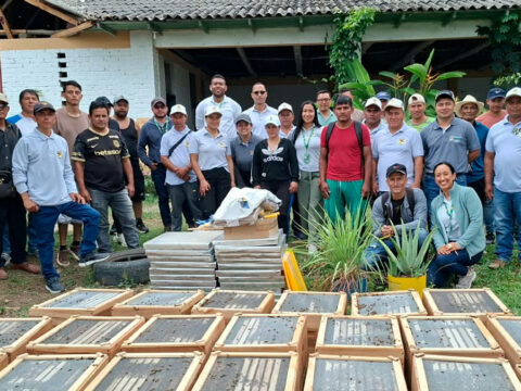 Proyecto apícola en el departamento de Nariño